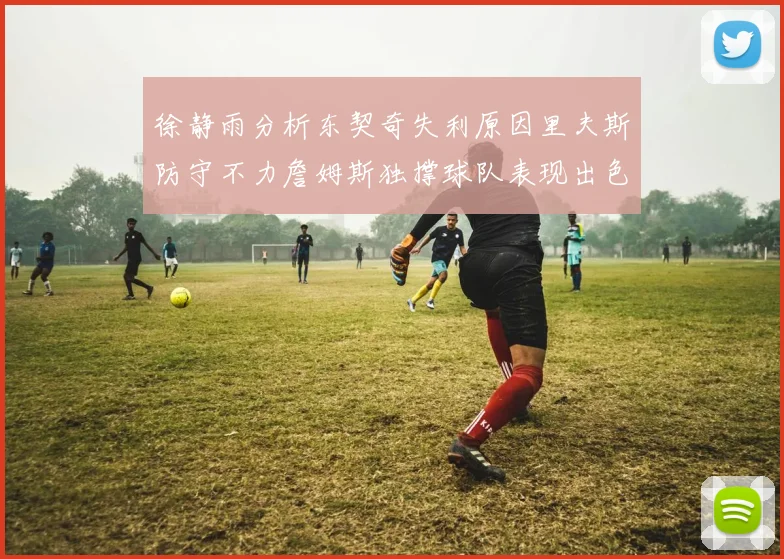 徐静雨分析东契奇失利原因里夫斯防守不力詹姆斯独撑球队表现出色