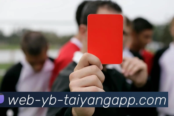 太阳城平台生态图